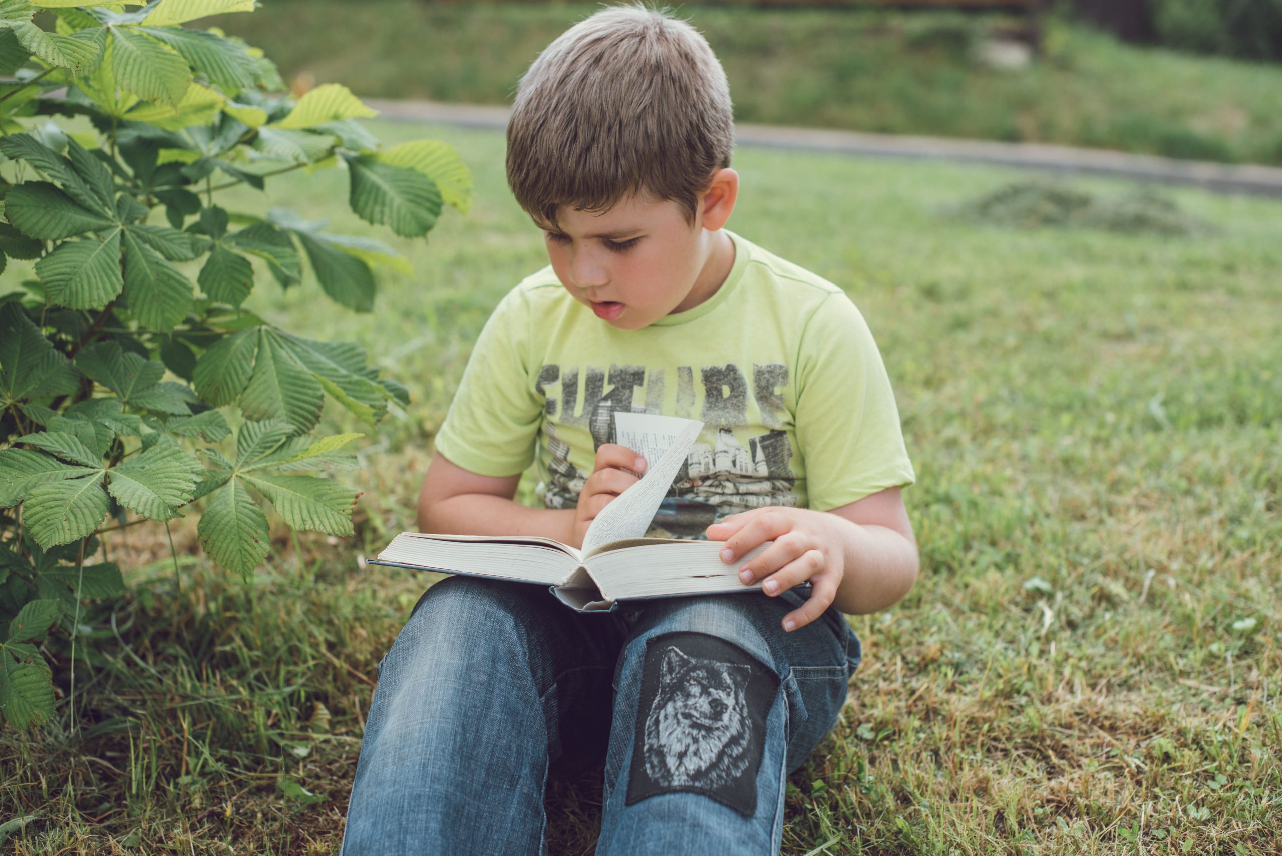 Young boy sitting outside reading a book